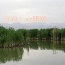ǱĬ