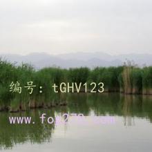 ǧ
