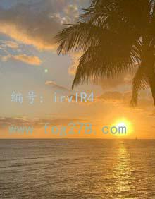ҵ