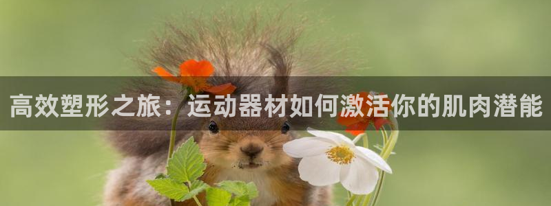海南意昂体育5(KGAME)：高效塑形之旅：运动器材如何激活