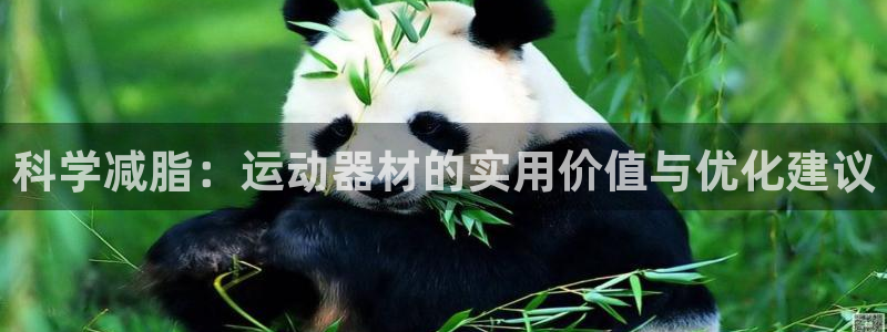 意昂5(KGAME)集团简介：科学减脂：运动器材的实用价值与