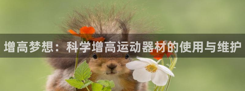 意昂集团官网：增高梦想：科学增高运动器材的使用与维护