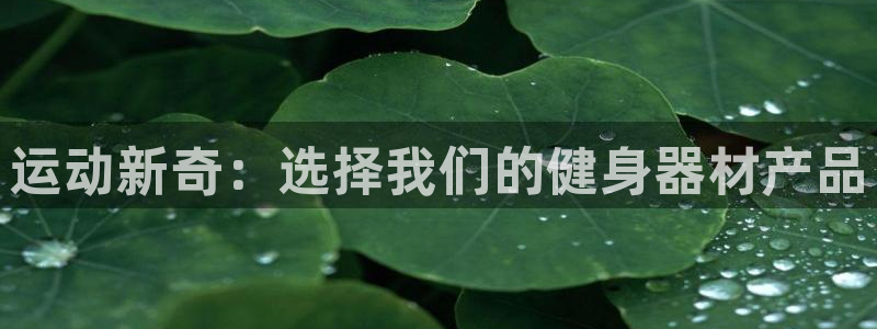 意昂5(KGAME)代理：运动新奇：选择我们的健身器