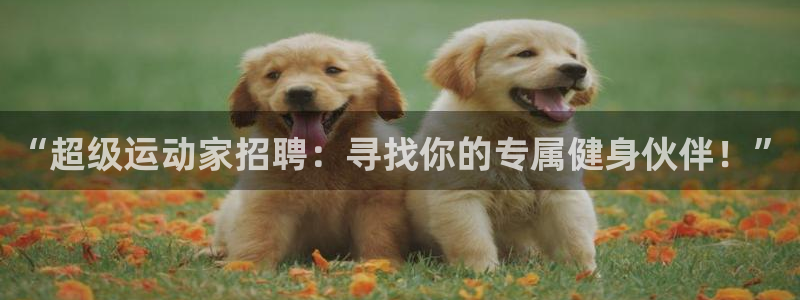 海南意昂体育5(KGAME)发展怎么样：“超级运动家