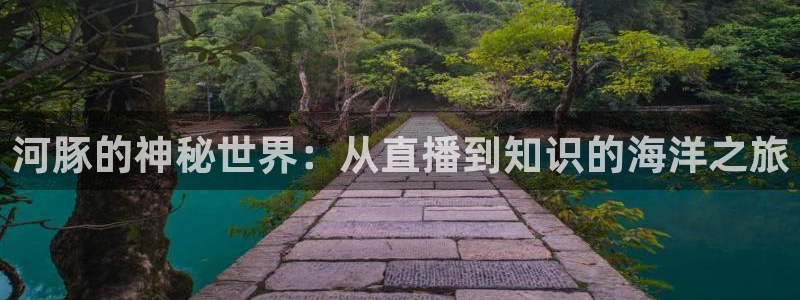 360足球直播雨燕：河豚的神秘世界：从直播到知识的海洋之旅