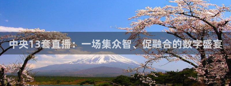 雨燕体育直播360：中央13套直播：一场集众智、促融合的数字盛宴