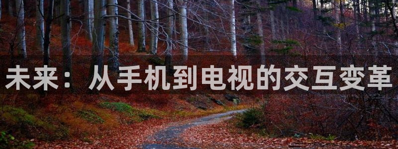 广东360体育频道在线直播高清：未来：从手机到电视的交互变革