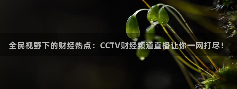 雨燕360体育免费直播nba回放