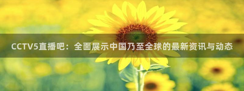 360体育直播足球直播手机版
