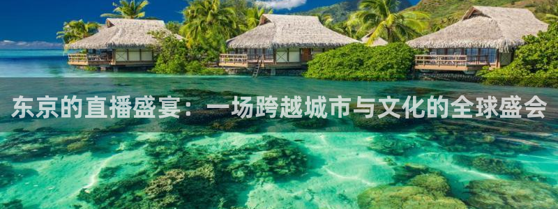 足球直播360
