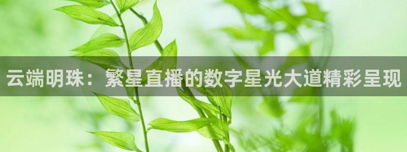 360体育直播免费直播：云端明珠：繁星直播的数字星光大道精彩呈现