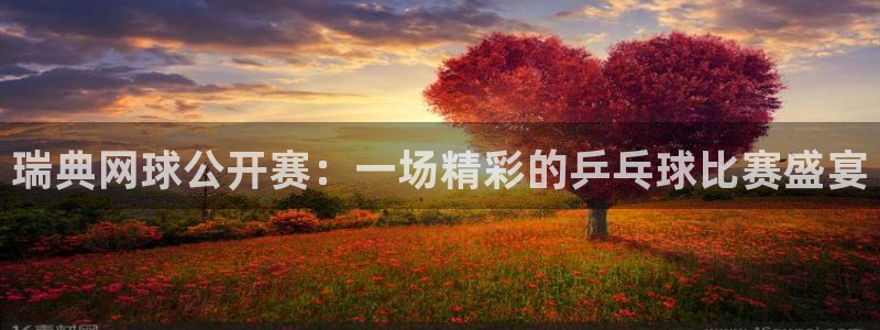 360体育直播：瑞典网球公开赛：一场精彩的乒乓球比赛盛宴